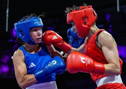 巴黎奧運會 楊文璐晉級拳擊女子60公斤級四分之一決賽，展現賽事組織與競技風采